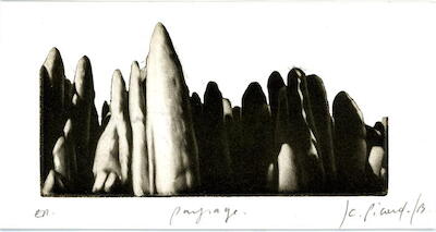 2009_2_4