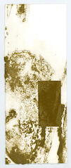 2009_2_2