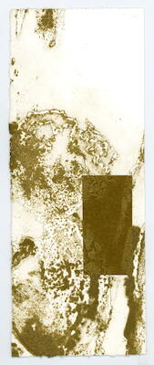 2009_2_2