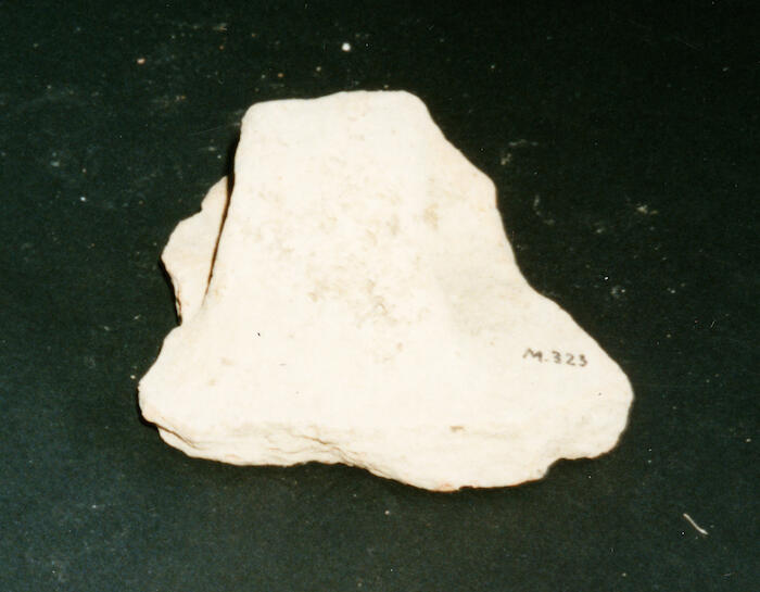 M_323