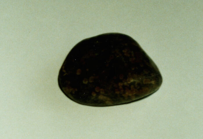 M_329