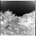 num2012-2012-0-11-p