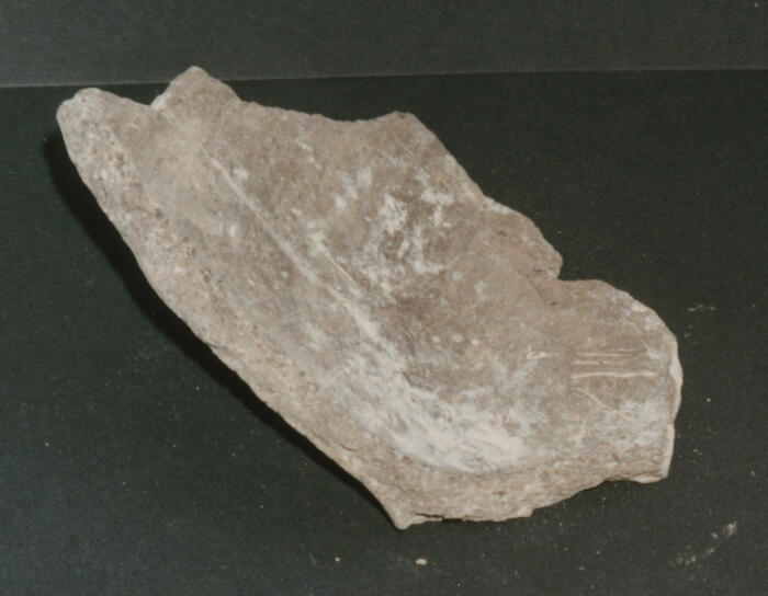 M_305