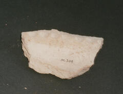 M_309