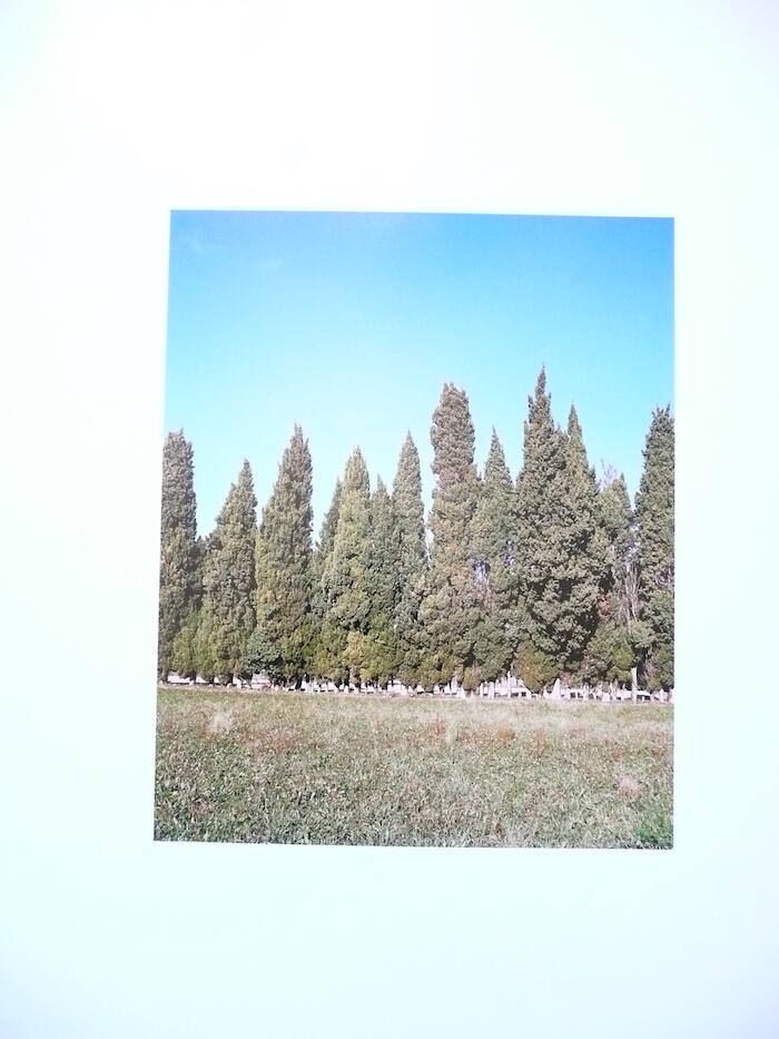 [VIDE]