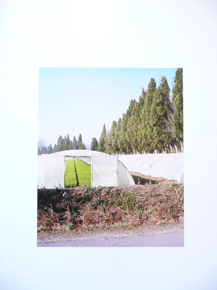 [VIDE]