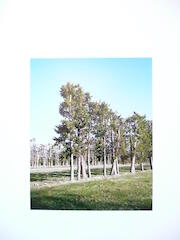 [VIDE]