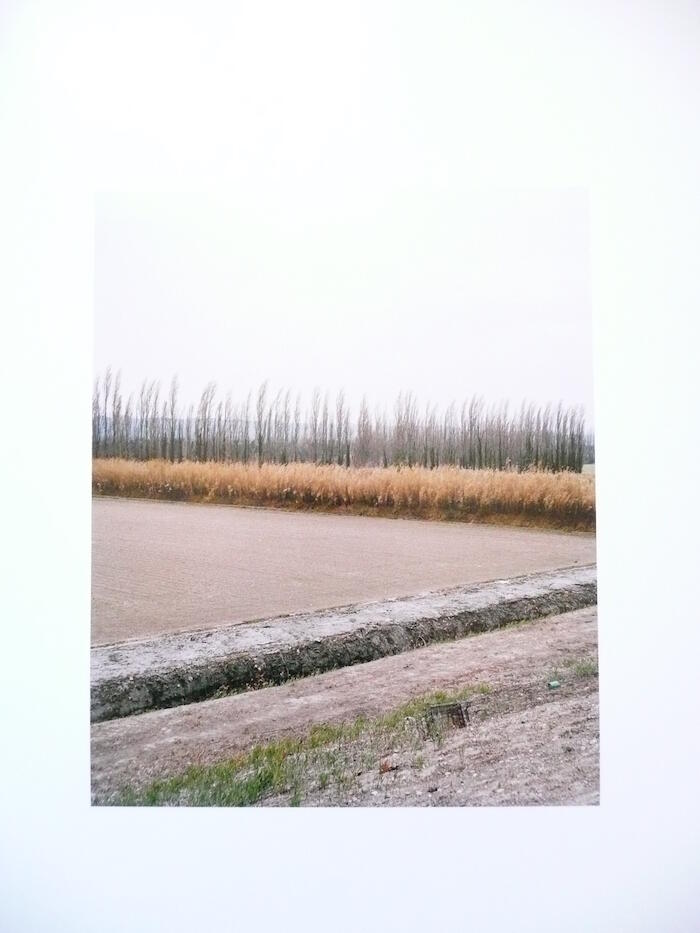 [VIDE]