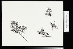 [VIDE]