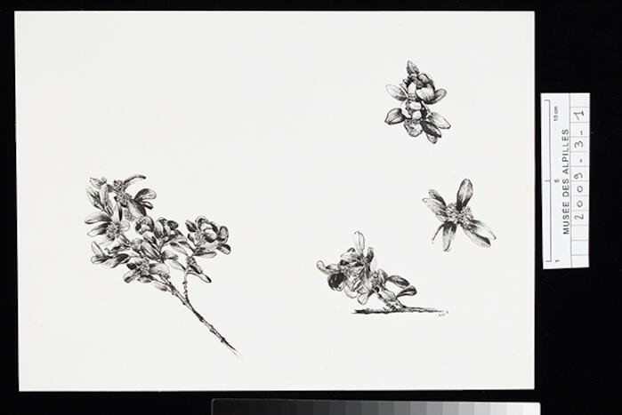 [VIDE]