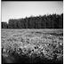 num2012-2012-0-10-p