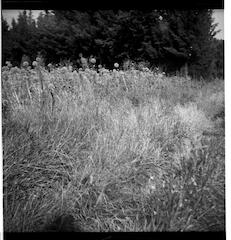 num2012-2012-0-09-p
