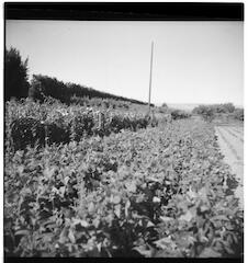 num2012-2012-0-07-p