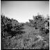 num2012-2012-0-11-p