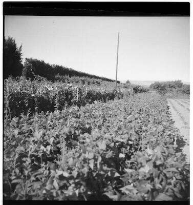 num2012-2012-0-07-p