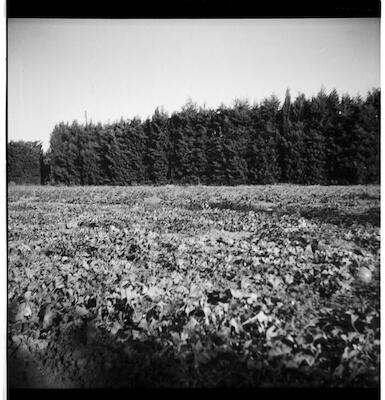 num2012-2012-0-10-p