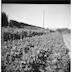 num2012-2012-0-07-p