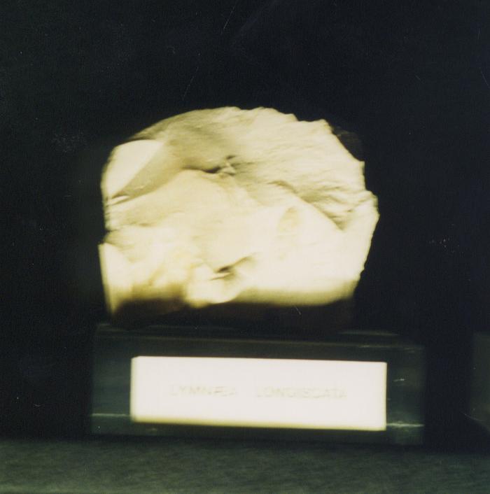 986_400
